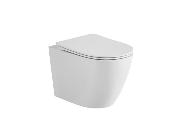 Wall-hung Toilet