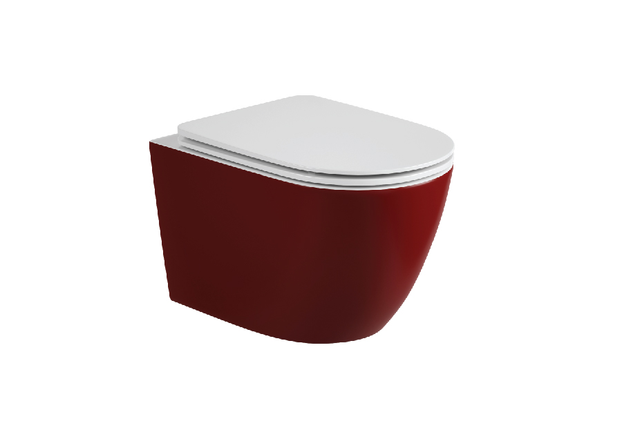Wall-hung Toilet
