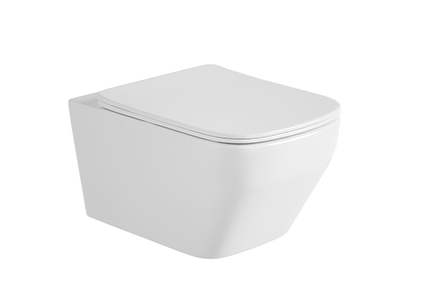 Wall-hung Toilet