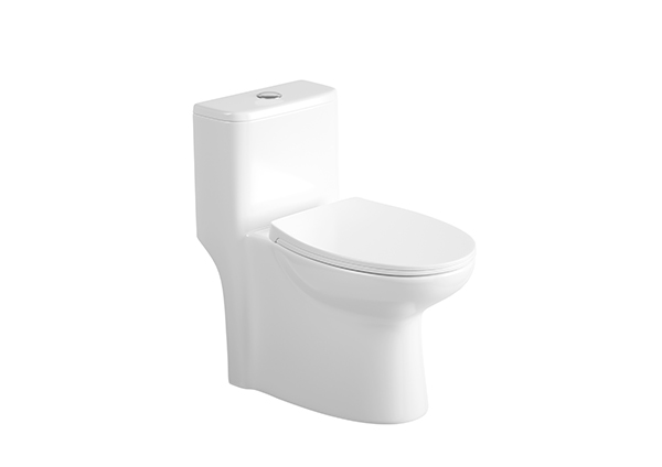 One-Piece Toilet
