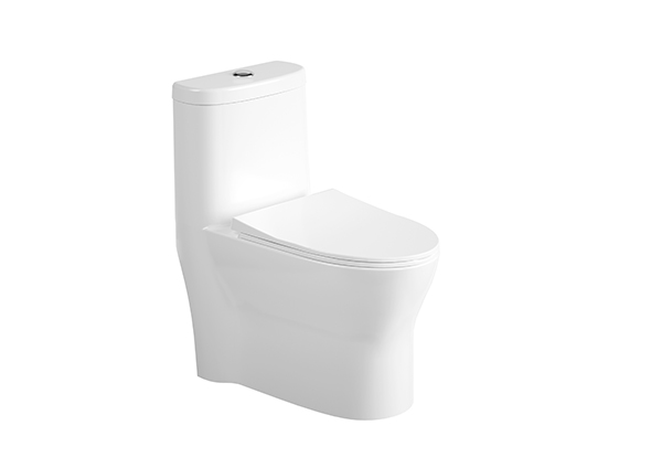 One-Piece Toilet